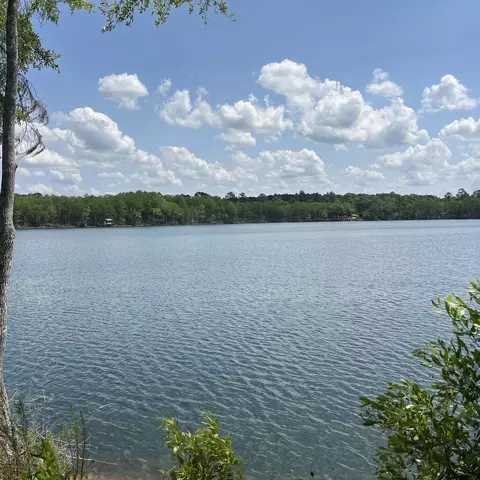 tbd Blue Pond Circle Cir, Ponce De Leon, FL 32455