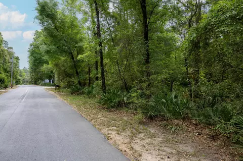 lot X Piney Point Rd, Freeport, FL 32439 photo 3