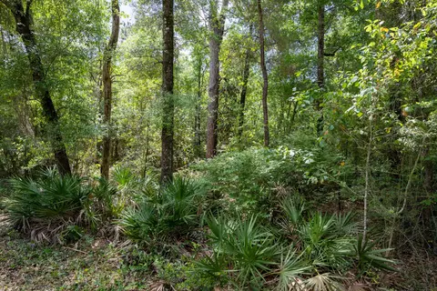 lot X Piney Point Rd, Freeport, FL 32439 photo 9