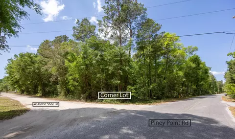 lot X Piney Point Rd, Freeport, FL 32439