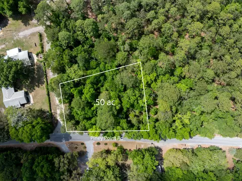 lot X Piney Point Rd, Freeport, FL 32439 photo 4
