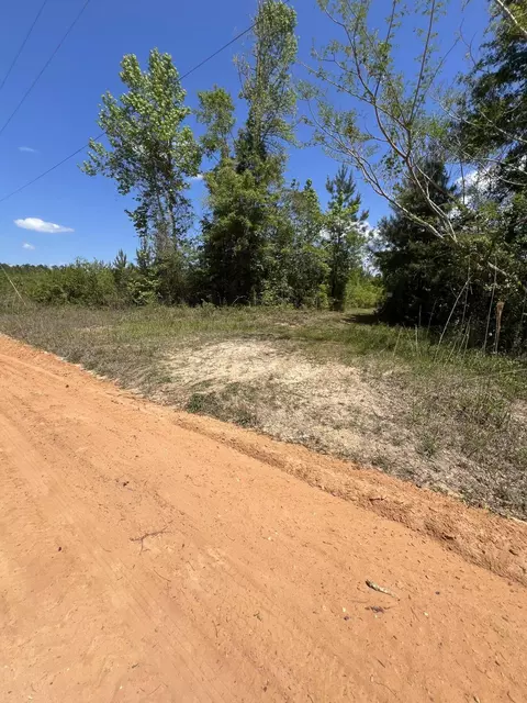 0 Goodman Hill Rd, Chipley, FL 32428 photo 8