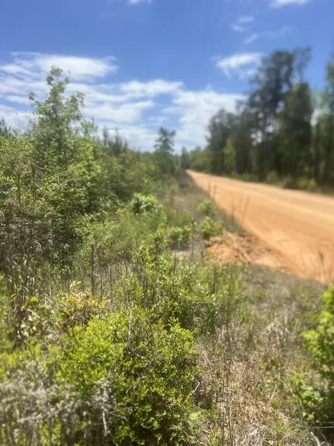 0 Goodman Hill Rd, Chipley, FL 32428 photo 6