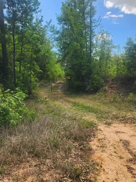 0 Goodman Hill Rd, Chipley, FL 32428 photo 5
