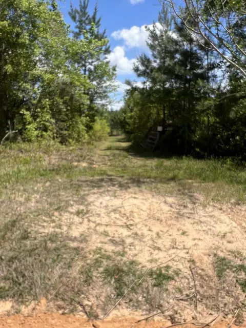 0 Goodman Hill Rd, Chipley, FL 32428 photo 9