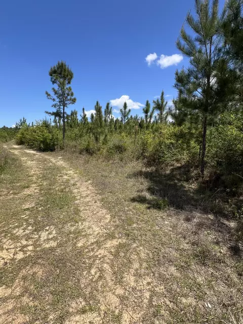 0 Goodman Hill Rd, Chipley, FL 32428 photo 3