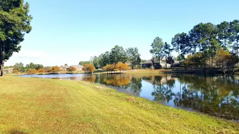 View/Area - 77 Meadow Lake Dr, Freeport, FL 32439 photo 10 of 14