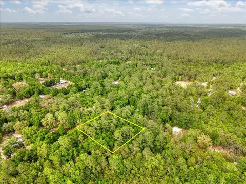 0 17 Ac Tango Ln, Harold, FL 32563 photo 5