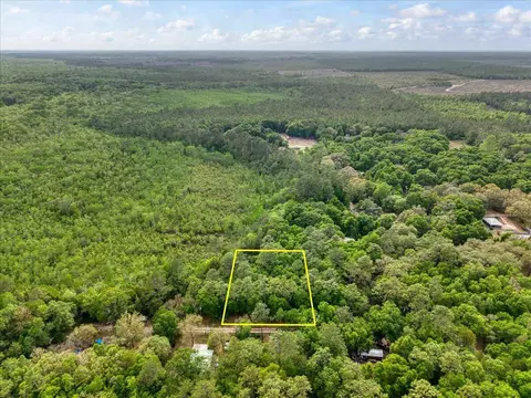 0 17 Ac Tango Ln, Harold, FL 32563 photo 8
