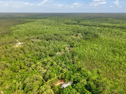 0 17 Ac Tango Ln, Harold, FL 32563 photo 3
