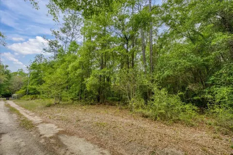 0 17 Ac Tango Ln, Harold, FL 32563 photo 12