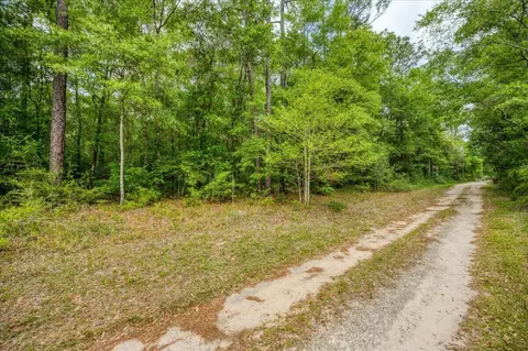 0 17 Ac Tango Ln, Harold, FL 32563 photo 11