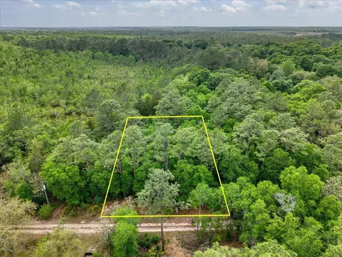 0 17 Ac Tango Ln, Harold, FL 32563