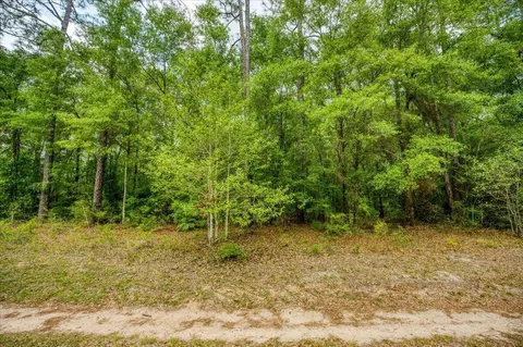 0 17 Ac Tango Ln, Harold, FL 32563 photo 10