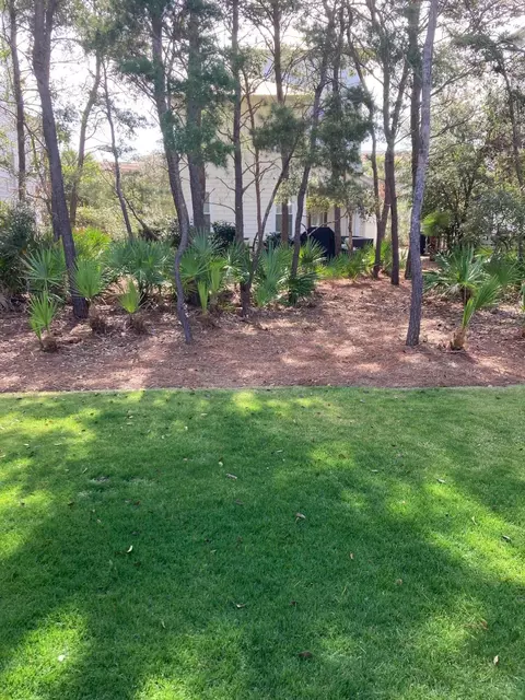 Exterior - 87 Cobia Run, Inlet Beach, FL 32461 photo 6 of 28