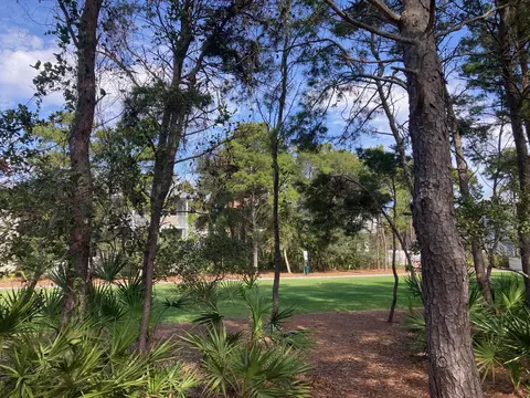 Exterior - 87 Cobia Run, Inlet Beach, FL 32461 photo 5 of 28