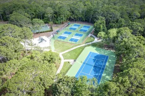 View/Area - 256 Leaning Pines Loop, Destin, FL 32541 photo 3 of 3