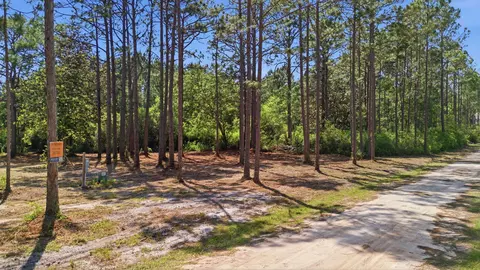 lot3 Elise St, Santa Rosa Beach, FL 32459