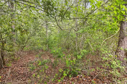 . Sam Carver Road, Crestview, FL 32536 photo 25