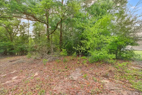 . Sam Carver Road, Crestview, FL 32536 photo 27