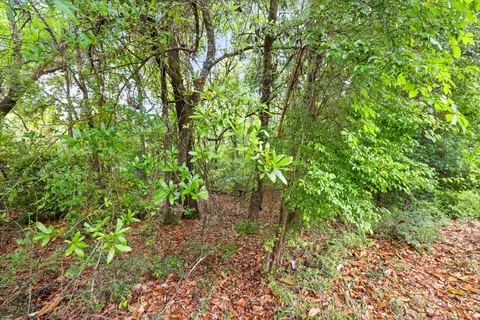 . Sam Carver Road, Crestview, FL 32536 photo 24