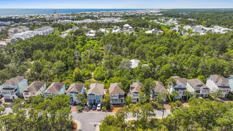 View/Area - 96 Sandpine Loop, Inlet Beach, FL 32461 photo 3 of 4