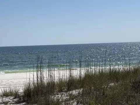8890 W Hwy 98, Port St. Joe, FL 32456