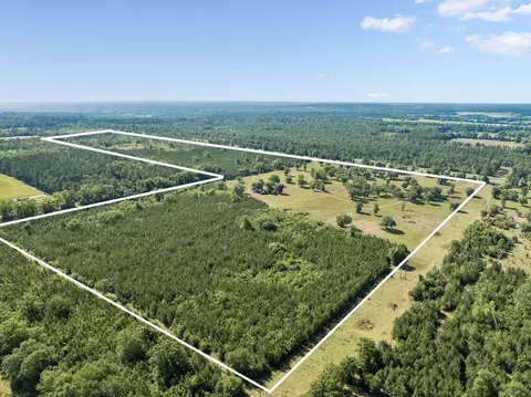 1205 Orange Hill Rd, Chipley, FL 32428