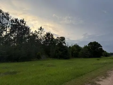 2 W 49 Acres W Co Hwy 147, Paxton, FL 32538