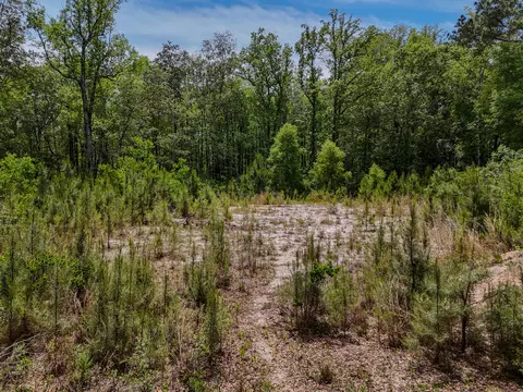 4 12 Acres Old Bethel Rd, Crestview, FL 32536 photo 8