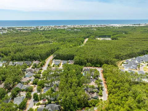 View/Area - 265 Artesian Way, Watersound, FL 32461 photo 1 of 5