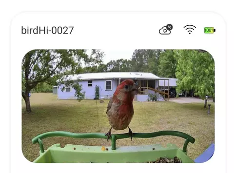 1462 Mccauley Rd, Baker, FL 32531 photo 43