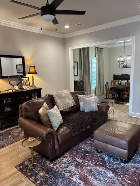 160 Hydrangea Blvd, Freeport, FL 32439 photo 3