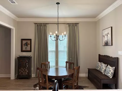 160 Hydrangea Blvd, Freeport, FL 32439 photo 4