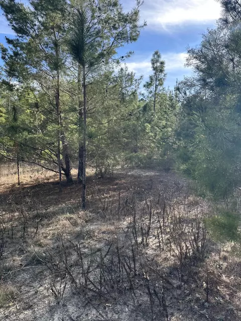 5225 Kimp Rd, Crestview, FL 32539 photo 2