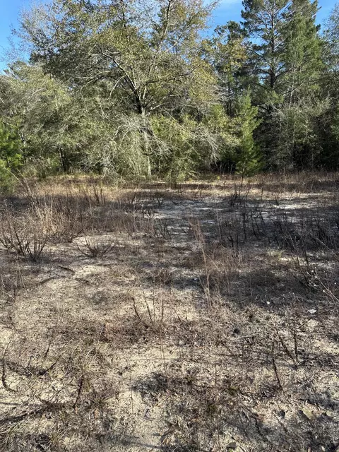 5225 Kimp Rd, Crestview, FL 32539 photo 7