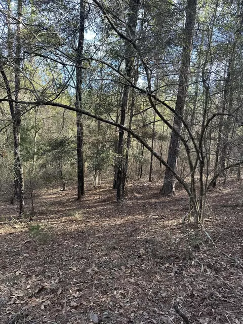 5225 Kimp Rd, Crestview, FL 32539 photo 9