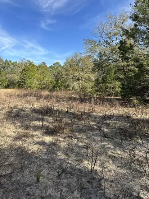 5225 Kimp Rd, Crestview, FL 32539 photo 4