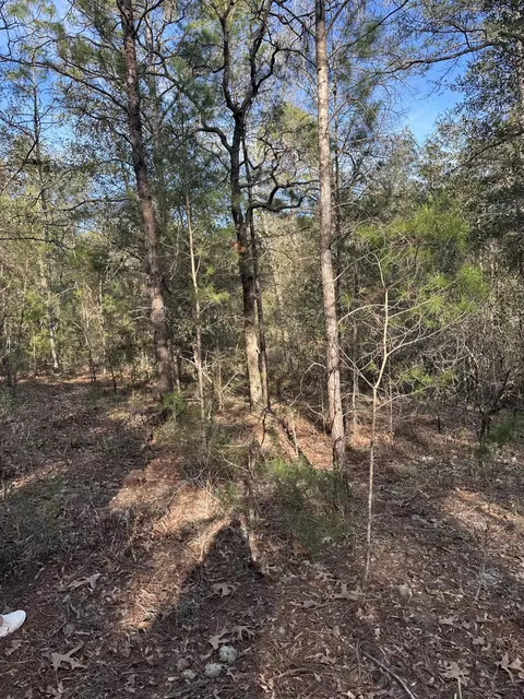 5225 Kimp Rd, Crestview, FL 32539 photo 10