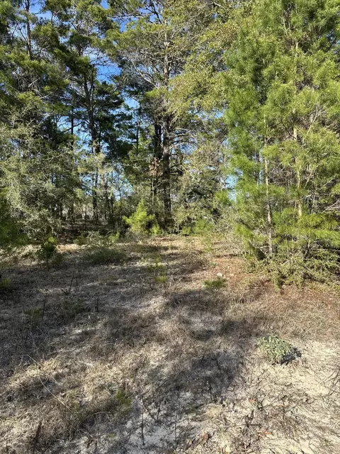 5225 Kimp Rd, Crestview, FL 32539 photo 5
