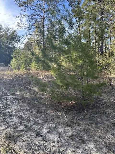 5225 Kimp Rd, Crestview, FL 32539 photo 6