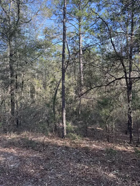 5225 Kimp Rd, Crestview, FL 32539 photo 12
