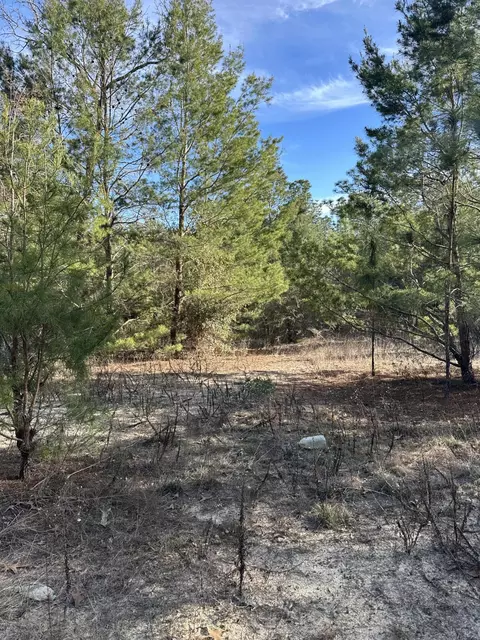 5225 Kimp Rd, Crestview, FL 32539 photo 3