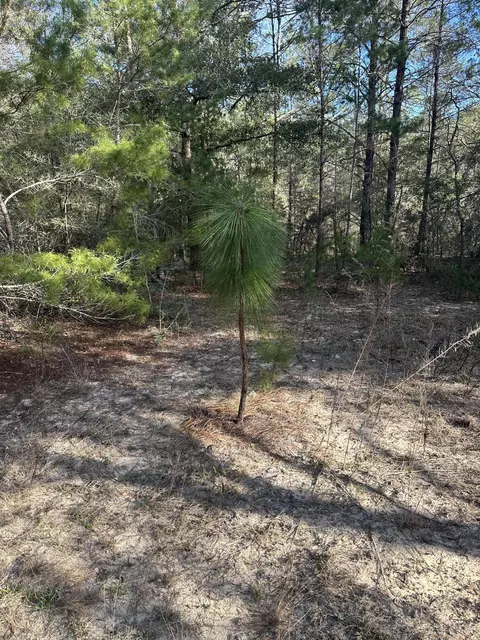 5225 Kimp Rd, Crestview, FL 32539 photo 8