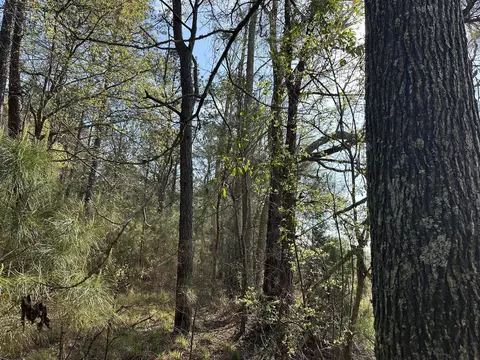 lot E Snider Ave, Other, AL photo 4