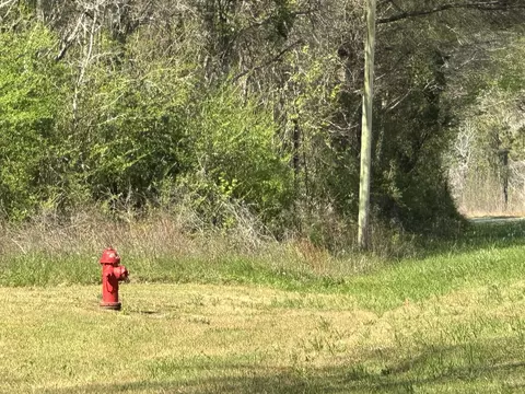 lot E Snider Ave, Other, AL photo 7