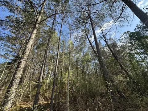 lot E Snider Ave, Other, AL photo 5
