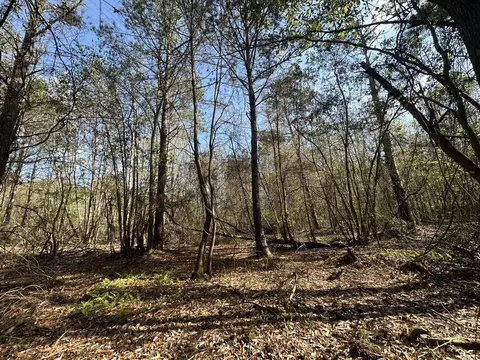 lot E Snider Ave, Other, AL