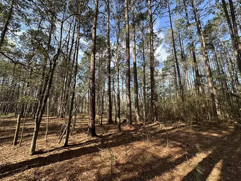 lot E Snider Ave, Other, AL photo 3