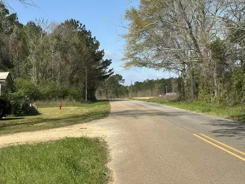 lot E Snider Ave, Other, AL photo 6